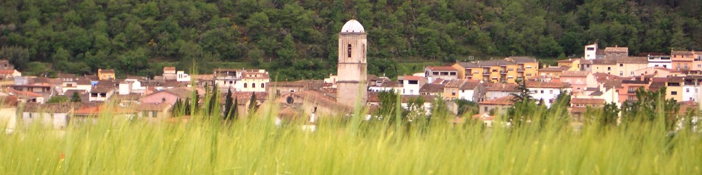 Amer, un futur amb història